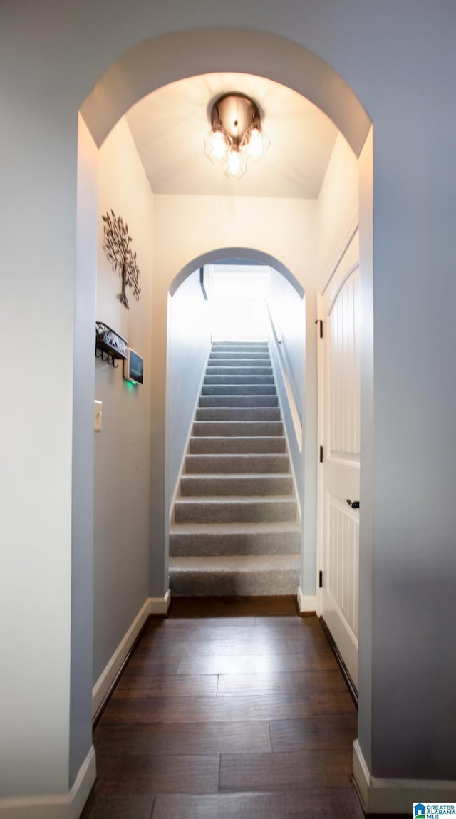 doorway to outside featuring dark wood-type flooring