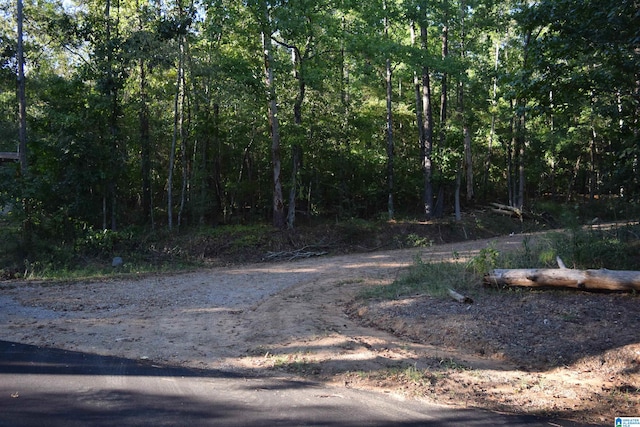 000 Cary Dr Unit 28, Mccalla AL, 35111 land for sale