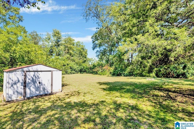 view of yard featuring a shed