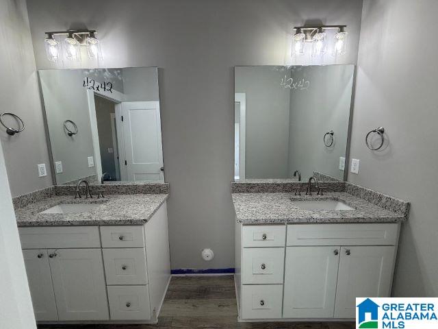 full bath featuring two vanities, wood finished floors, and a sink