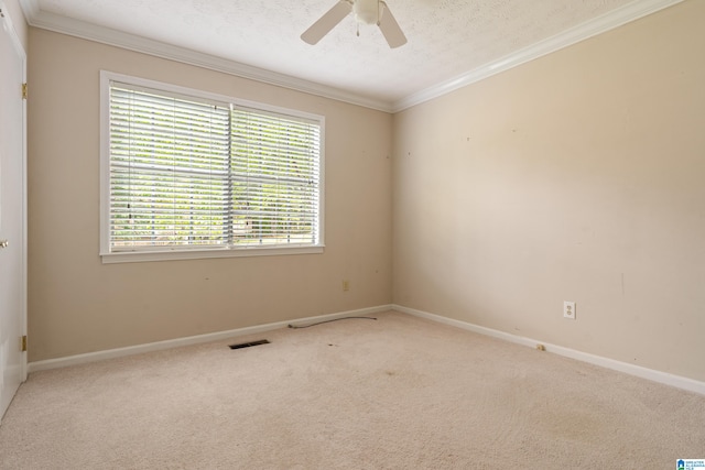 unfurnished room featuring a textured ceiling and carpet flooring