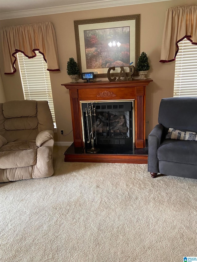 carpeted living room with ornamental molding