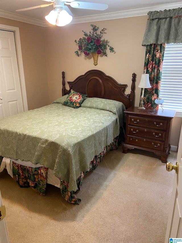 bedroom with ceiling fan, crown molding, and carpet