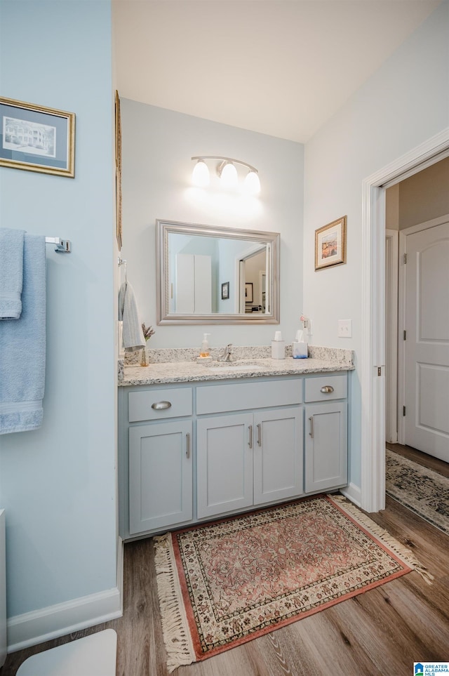 bathroom with wood-type flooring and vanity