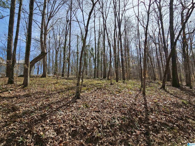 155 S Hollow Rd Unit 0, Hayden, AL 35079
