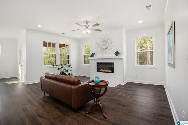 living room with crown molding, dark wood-type flooring, and plenty of natural light