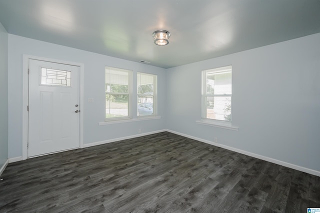 entrance foyer with dark wood-type flooring