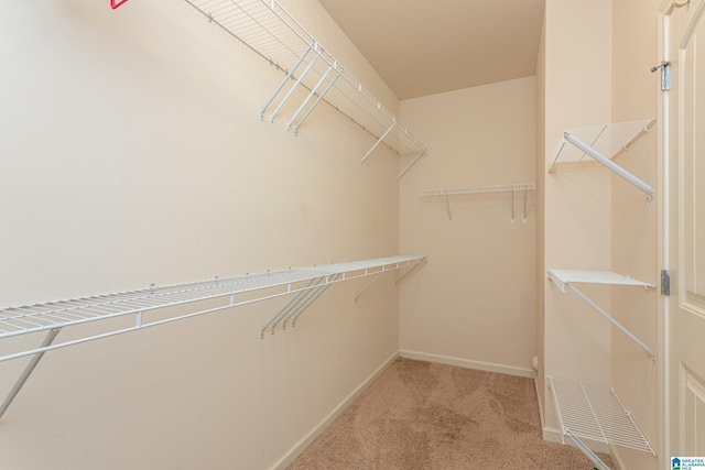 walk in closet with carpet floors