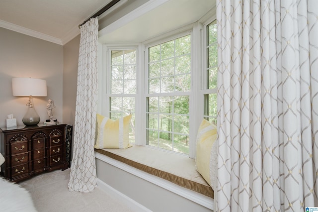 477 Seales Rd, Helena, AL 35022 - carpeted bedroom with ornamental molding, baseboards, and multiple windows