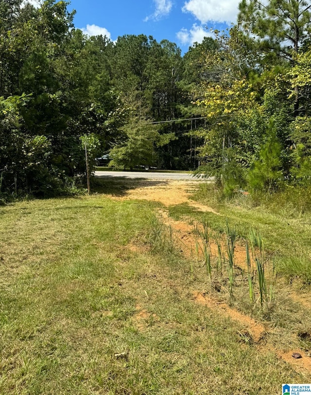 Listing photo 3 for 7543 US Highway 231 Unit 0, Sylacauga AL 35151