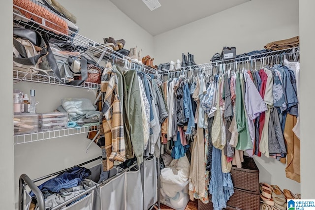 view of walk in closet