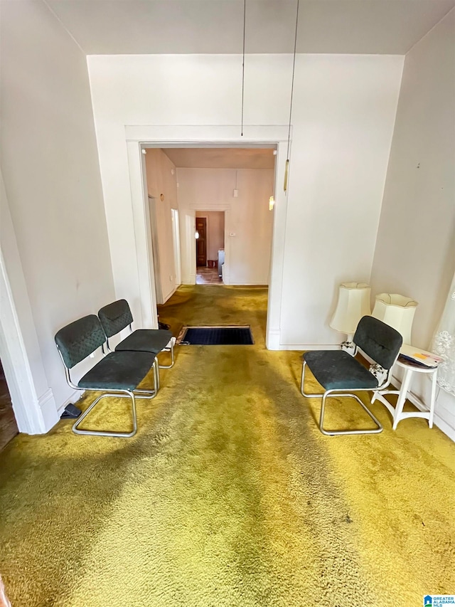 sitting room featuring carpet floors