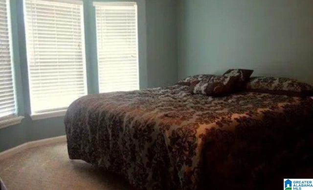 bedroom featuring carpet and multiple windows