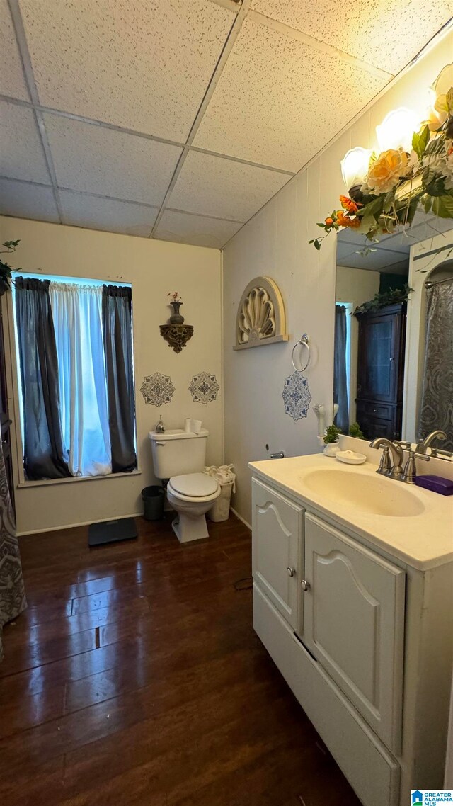 bathroom with vanity, a drop ceiling, toilet, and hardwood / wood-style flooring