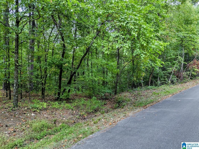 6741 Wesson Cir Unit 5, Pinson, AL 35126