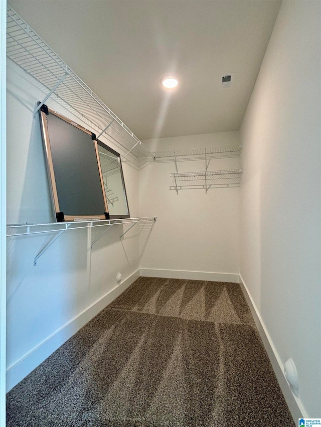 spacious closet featuring carpet floors