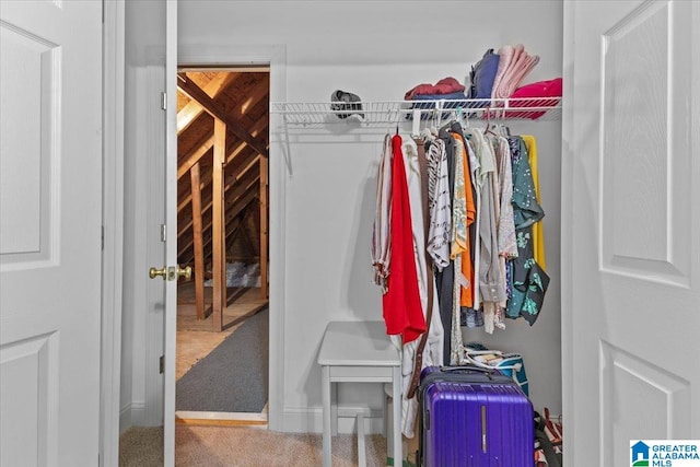 spacious closet featuring carpet floors