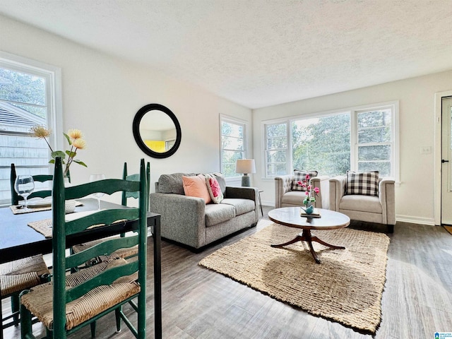 living room featuring a textured ceiling and hardwood / wood-style floors