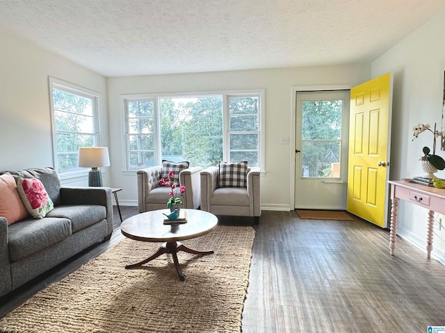 living room featuring a textured ceiling and dark wood-type flooring