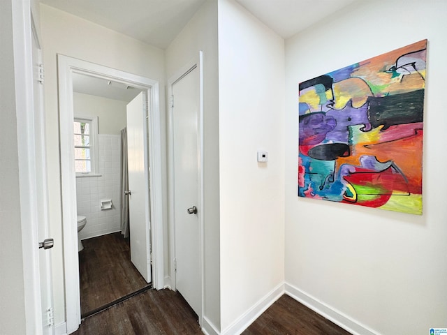 hall featuring tile walls and dark hardwood / wood-style flooring