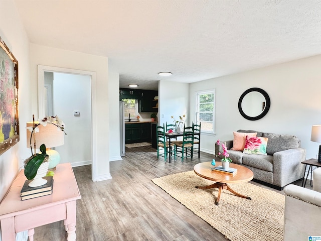 living room with wood-type flooring and a textured ceiling