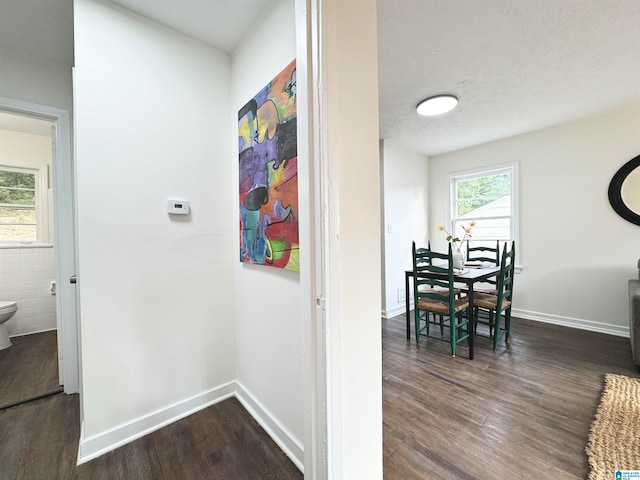 hallway featuring a textured ceiling, tile walls, and dark hardwood / wood-style flooring