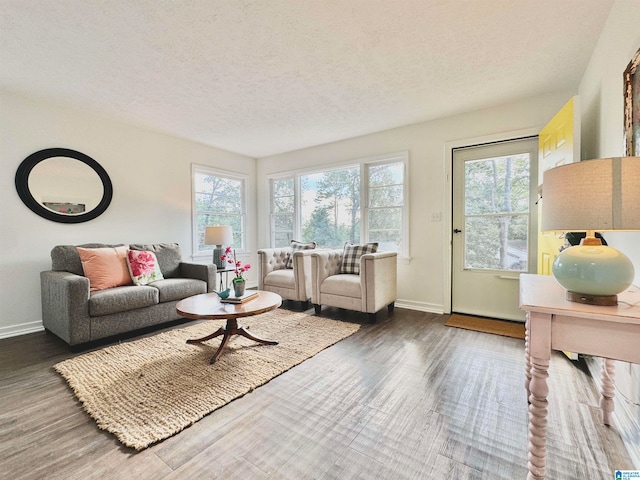 living room with a textured ceiling and dark hardwood / wood-style flooring