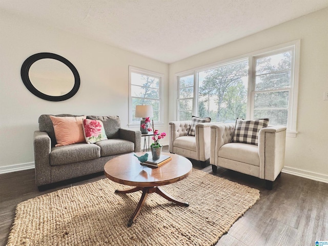 living room with a textured ceiling and dark hardwood / wood-style flooring