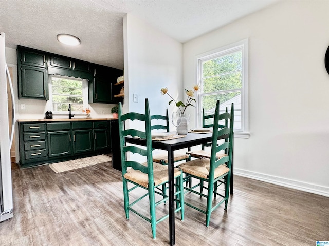 dining space featuring a wealth of natural light, light hardwood / wood-style floors, and a textured ceiling