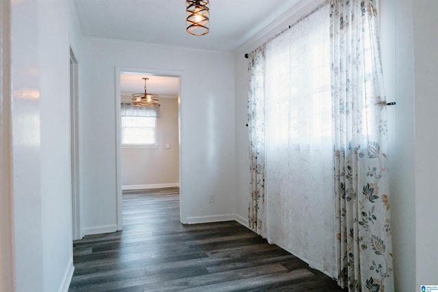 hall featuring ornamental molding, dark hardwood / wood-style flooring, and a notable chandelier