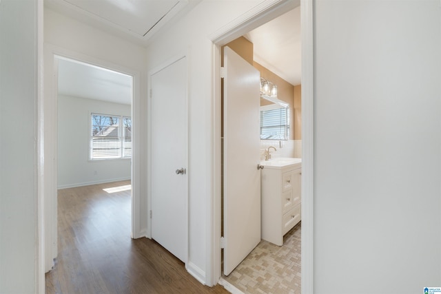 hall featuring light hardwood / wood-style floors