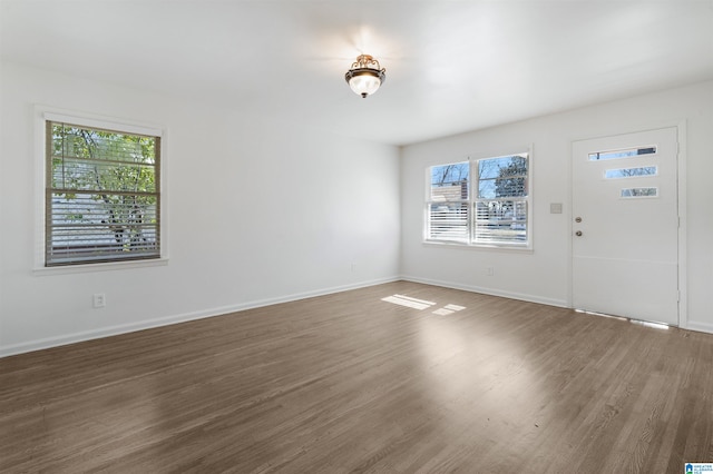 entryway featuring dark wood-type flooring