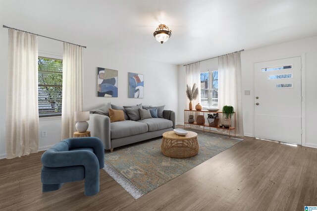 living room featuring wood-type flooring