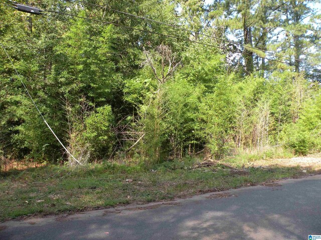 Listing photo 2 for 414 Odell Ave Unit 3, Childersburg AL 35044