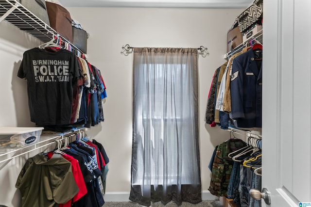 spacious closet with carpet floors