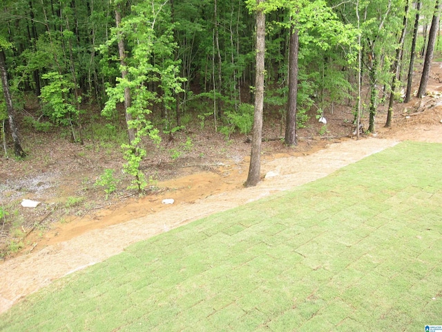 1121 Grey Oaks Vly, Pelham, AL 35124 - view of yard