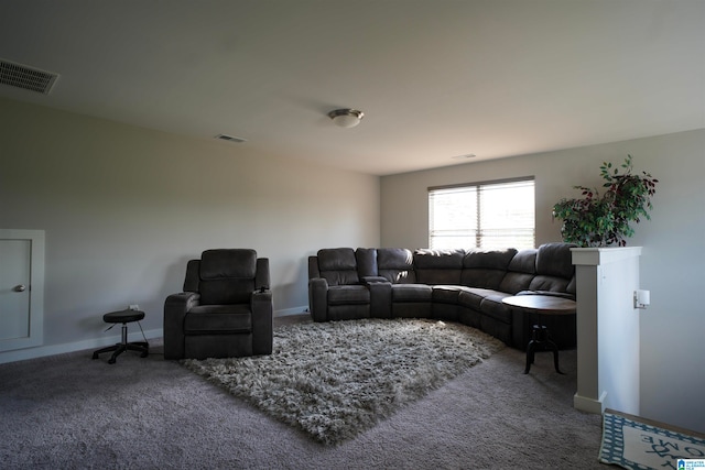 living room featuring carpet floors