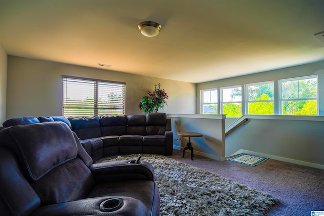 living room with a healthy amount of sunlight and carpet flooring