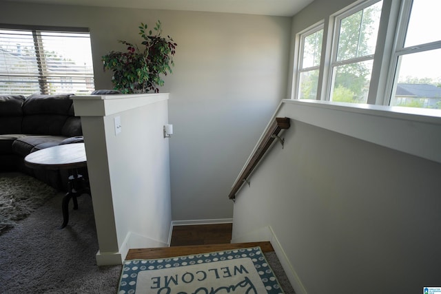 stairway featuring carpet floors