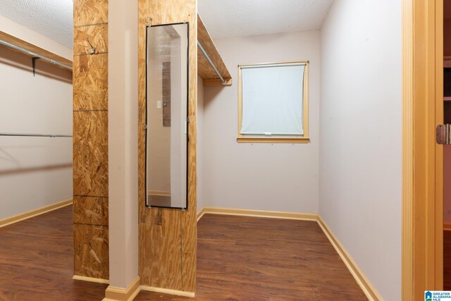 walk in closet with dark wood-type flooring