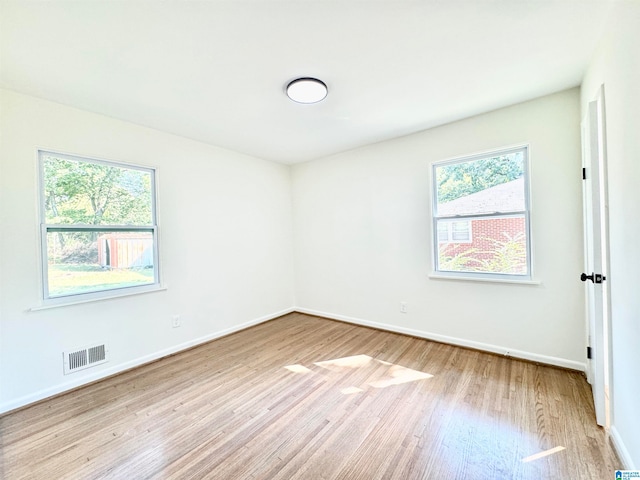 unfurnished room featuring a wealth of natural light and light wood-type flooring