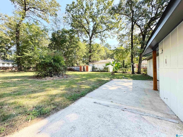 view of yard featuring a patio and a storage unit