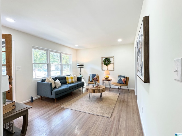 living room with light wood-type flooring