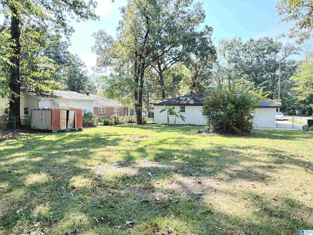 view of yard featuring a shed