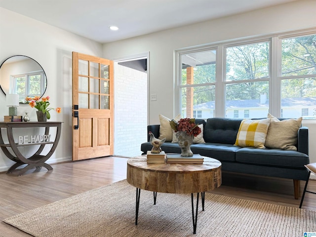 living room featuring hardwood / wood-style floors and a wealth of natural light