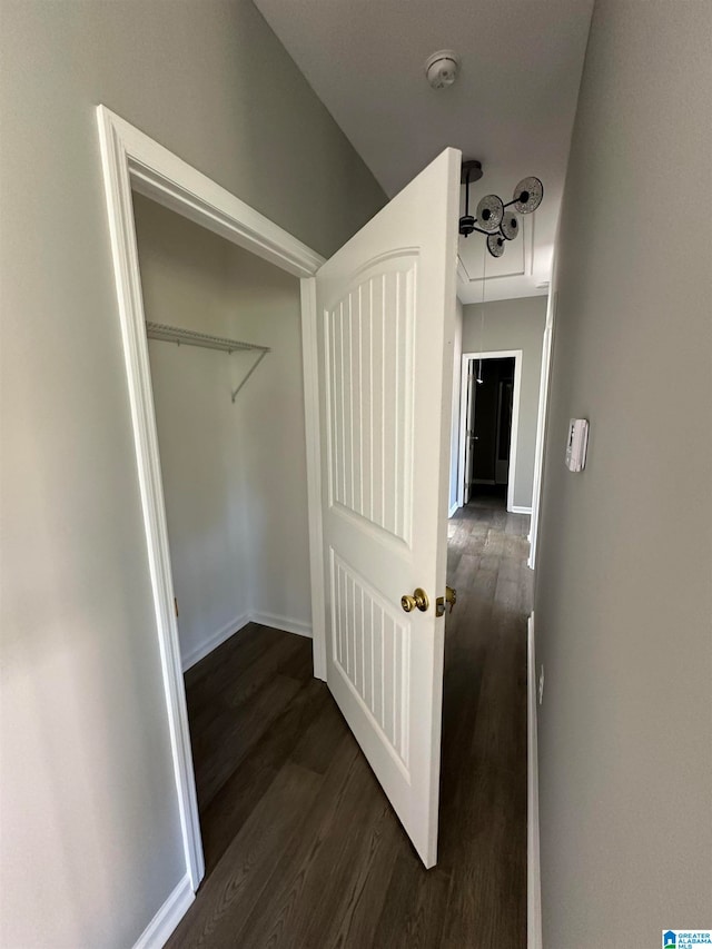 interior space featuring dark hardwood / wood-style flooring