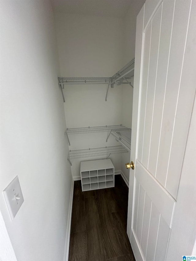 spacious closet with dark wood-type flooring