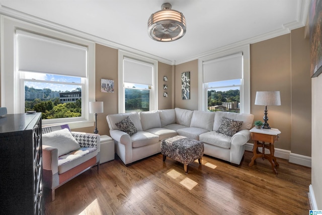 living room with ornamental molding, plenty of natural light, and dark hardwood / wood-style floors