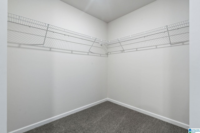 spacious closet featuring dark colored carpet