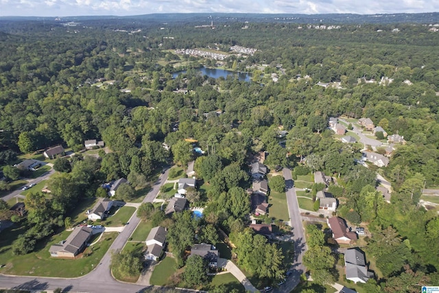 2825 Cahawba Trl, Birmingham, AL 35243 - bird's eye view with a water view, a residential view, and a view of trees